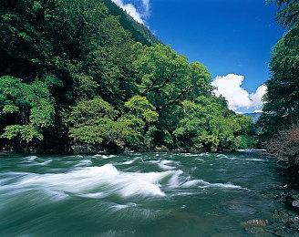 《螃蟹大战2》2024年2月13日Steam抢测 好评甲壳对战